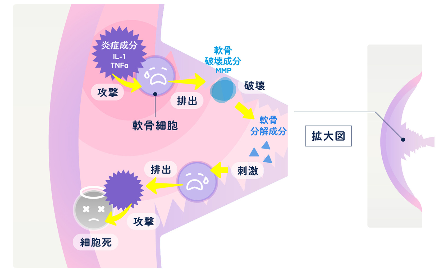 病的な炎症のサイクル
