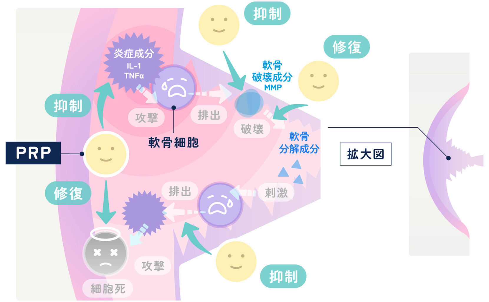 再生医療注射の説明